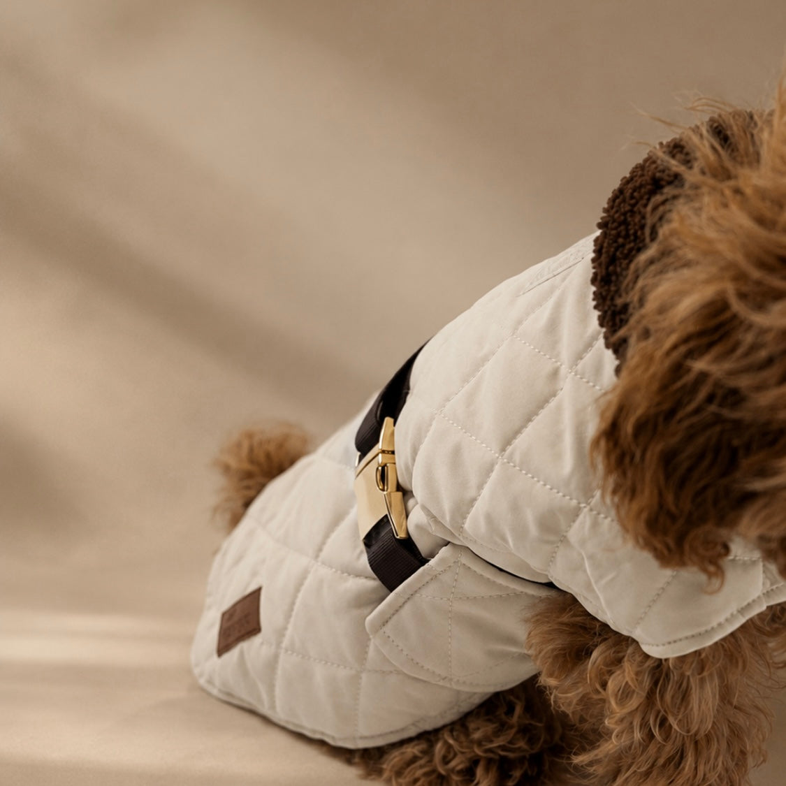 Silky Snugs Satin Lined Dog Jacket