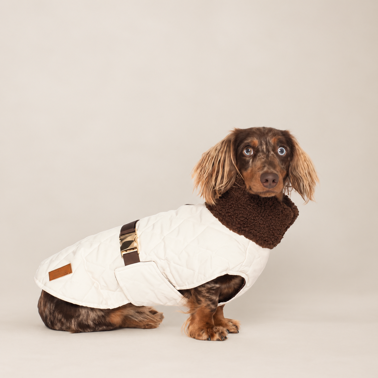 Silky Snugs Satin Lined Dog Jacket