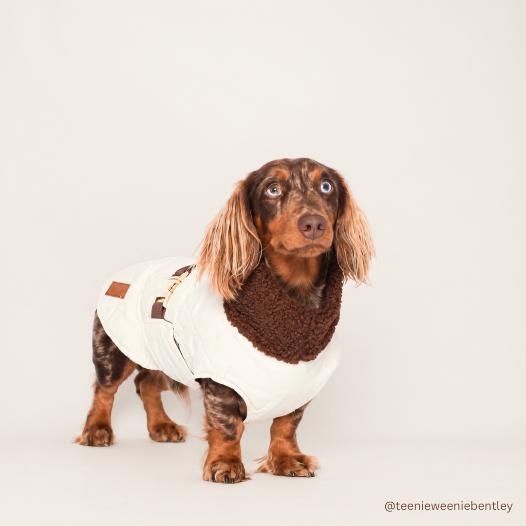 Silky Snugs Satin Lined Dog Jacket