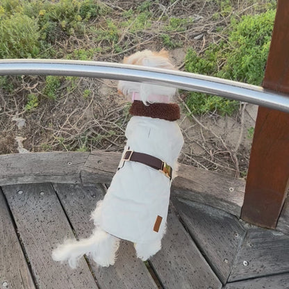 Silky Snugs Satin Lined Dog Jacket