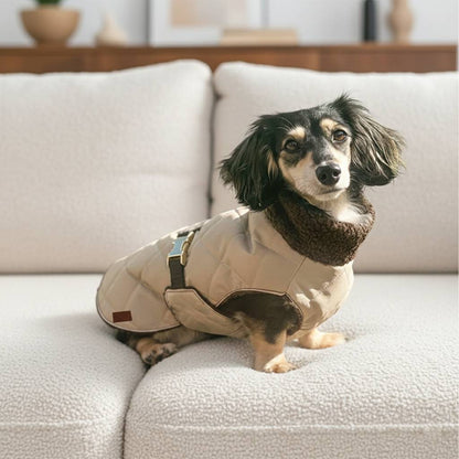 silky satin dog jacket