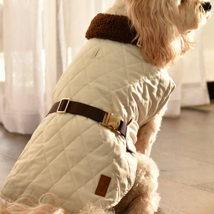 Silky Snugs Satin Lined Dog Jacket