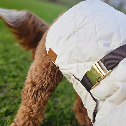 Silky Snugs Satin Lined Dog Jacket